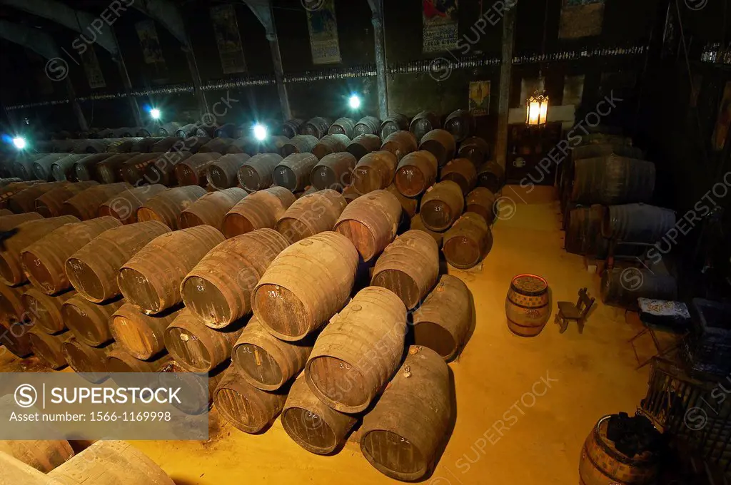 Aguilar de La Frontera, Toro Albala Wine Cellar, Montilla-Moriles Wine Route, Cordoba, Andalusia, Spain.