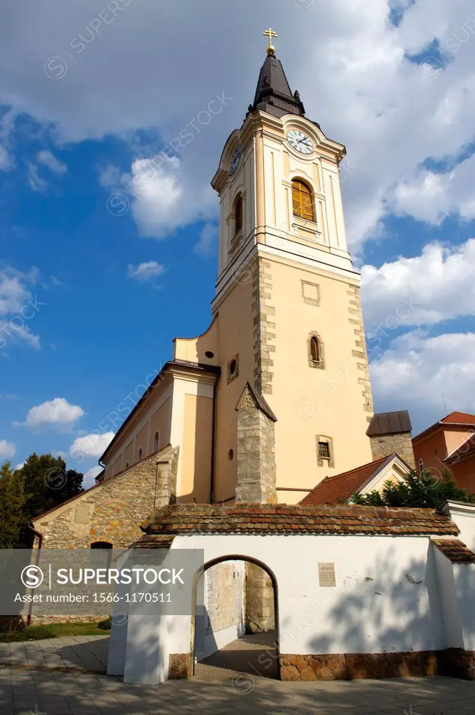 The Church of St Francis - Kecskemét , Hungary
