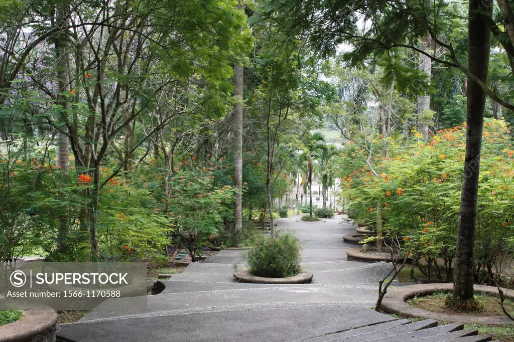 Botanical garden, Putrajaya, Selangor, Malaysia.