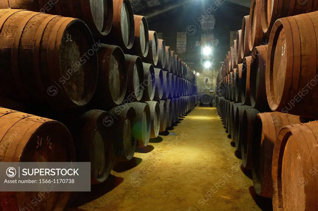 Aguilar de La Frontera, Toro Albala Wine Cellar, Montilla-Moriles Wine Route, Cordoba, Andalusia, Spain.