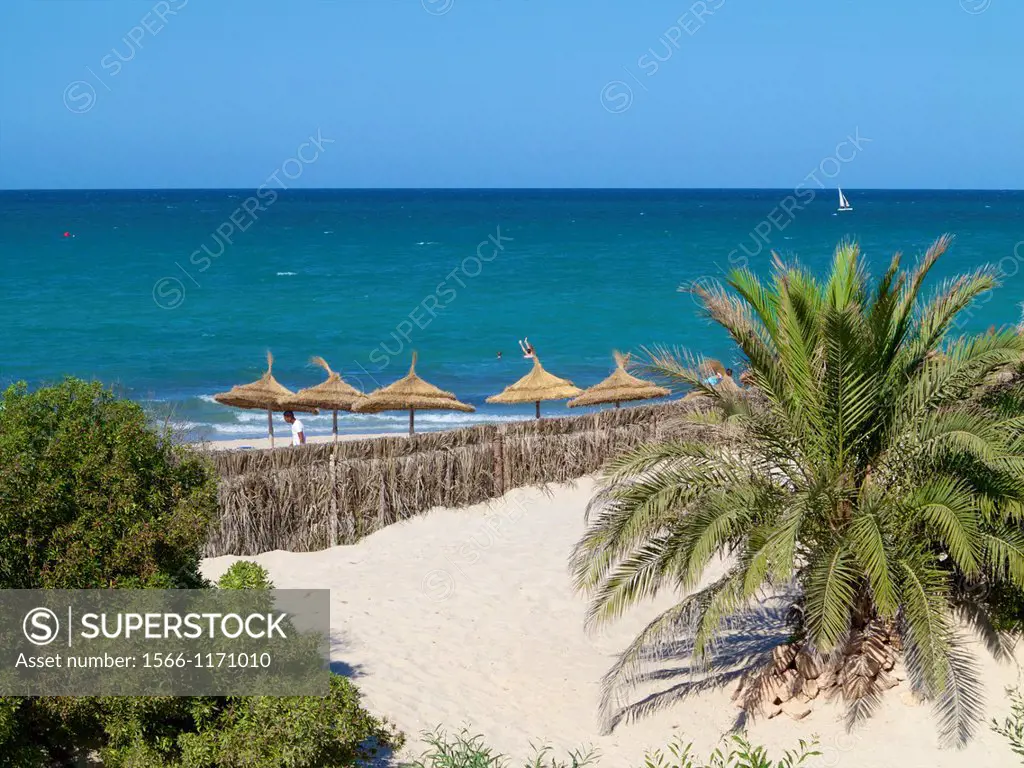 A view of the beach and its palm sunshades, with palm trees, and blue mediterranean sea, Djerba, Tunisia