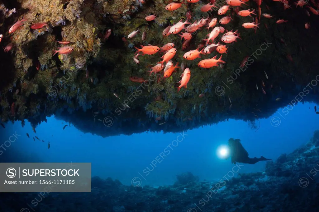 Scuba Diver explores Cave, North Male Atoll, Maldives