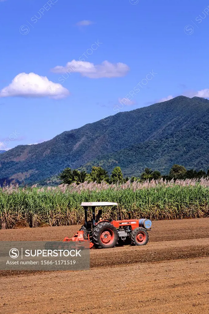 Tractor Plowing Fields at Local Sugar Farm Near Rex Lookout in Cairns Australia Queensland