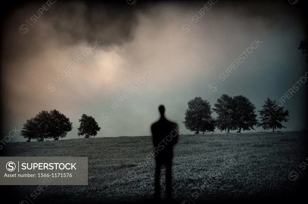 silueta de persona solitaria en un paisaje con árboles, a loner silhouette in a landscape with trees