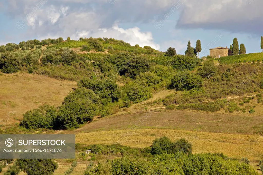 A Villa in the Hills of Tuscany
