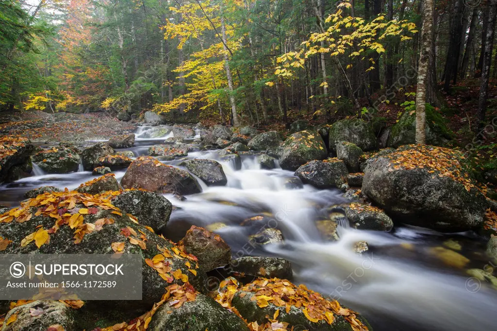 Harvard Brook in the White Mountains, New Hampshire USA during the autumn months
