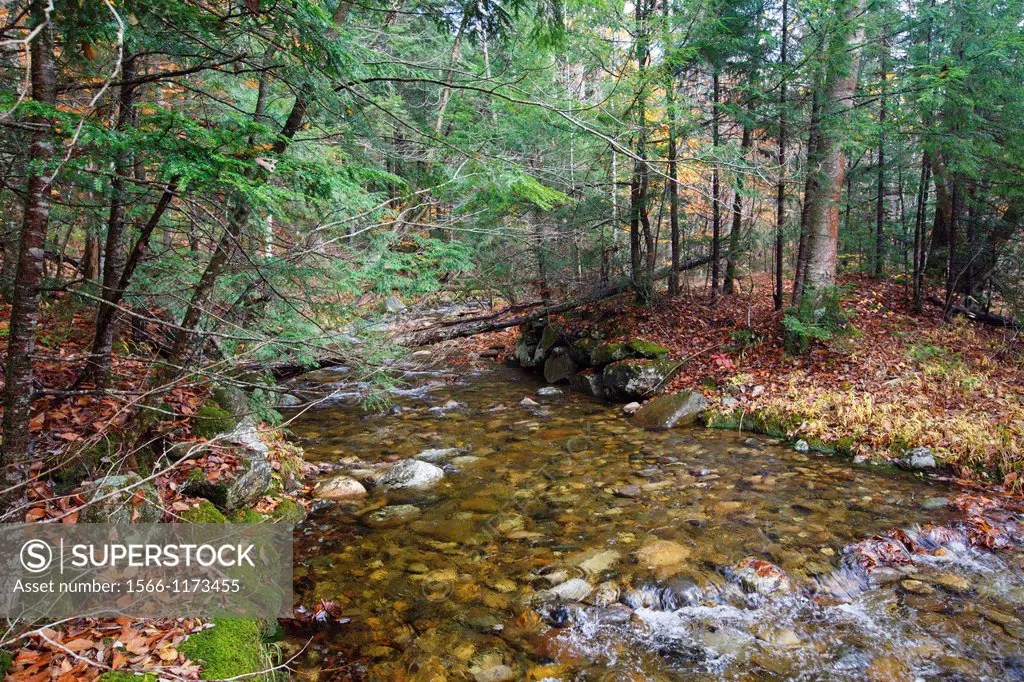 Remnants of a stone bridge that once crossed Talford Brook in the Thornton Gore hill farm community in Thornton, New Hampshire USA This farming commun...
