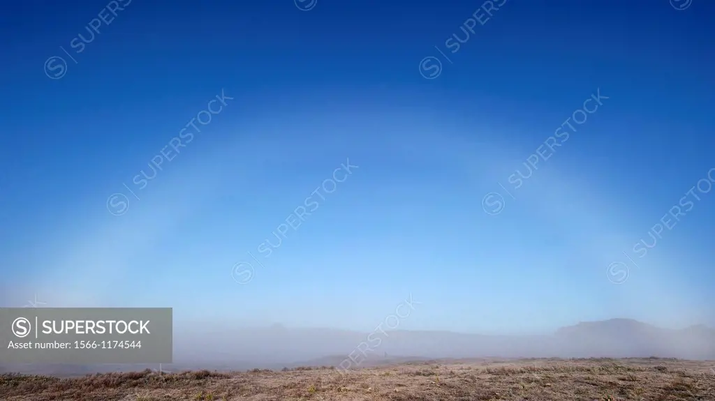 Fog bow in the Bale Mountains of Ethiopia