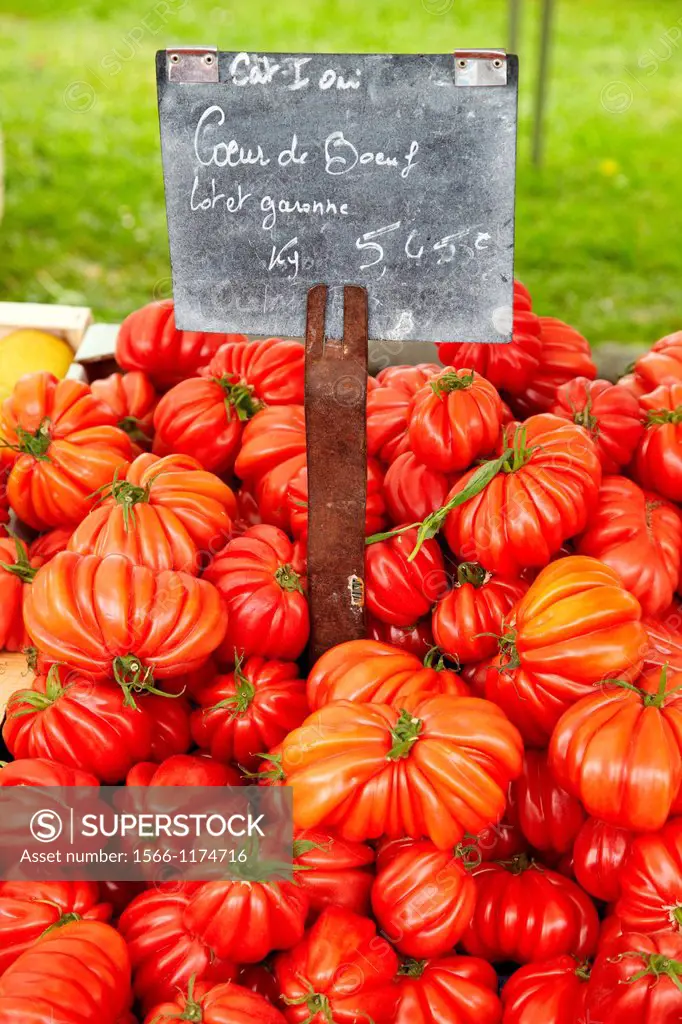 Tomatoes, Food Market, Hendaye, Aquitaine, Pyrenees Atlantiques, France.
