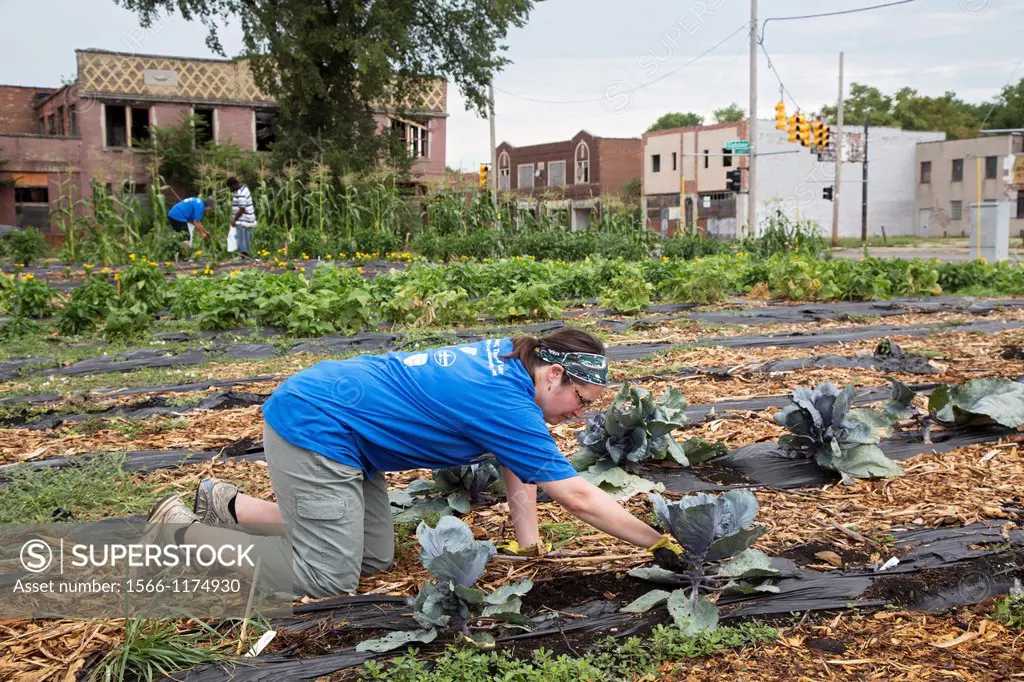 Detroit, Michigan - Volunteers from the American Federation of Teachers and from the local community work in a community garden