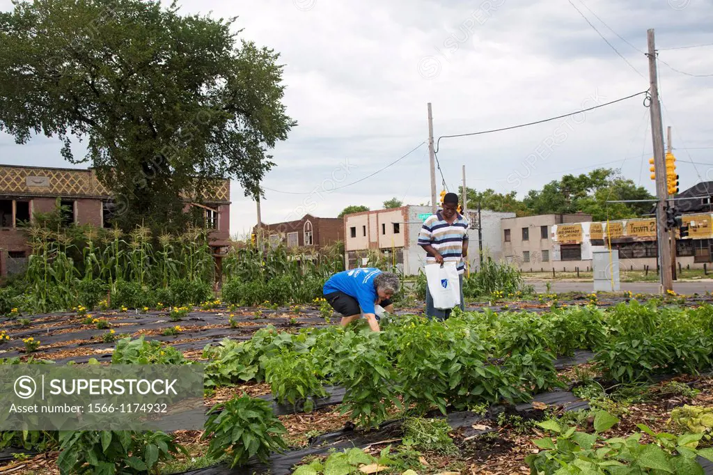 Detroit, Michigan - Volunteers from the American Federation of Teachers and from the local community work in a community garden
