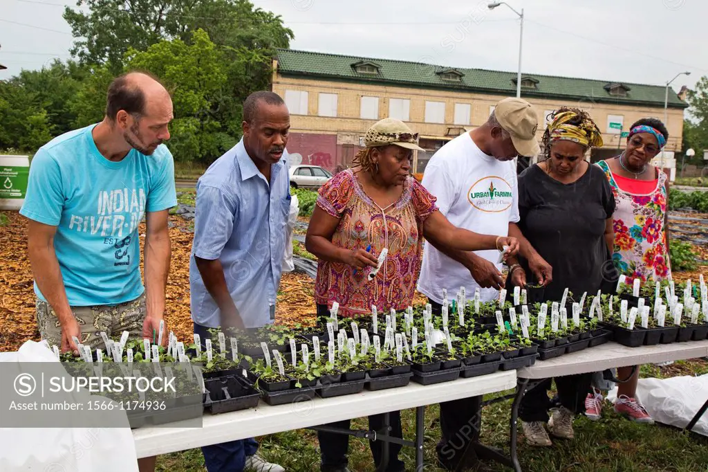 Detroit, Michigan - Residents select seedlings to grow in their gardens  The seedlings were distributed at an urban farm in the community