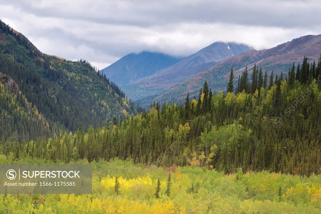 Denali National Park, Alaska shows off its fall colors