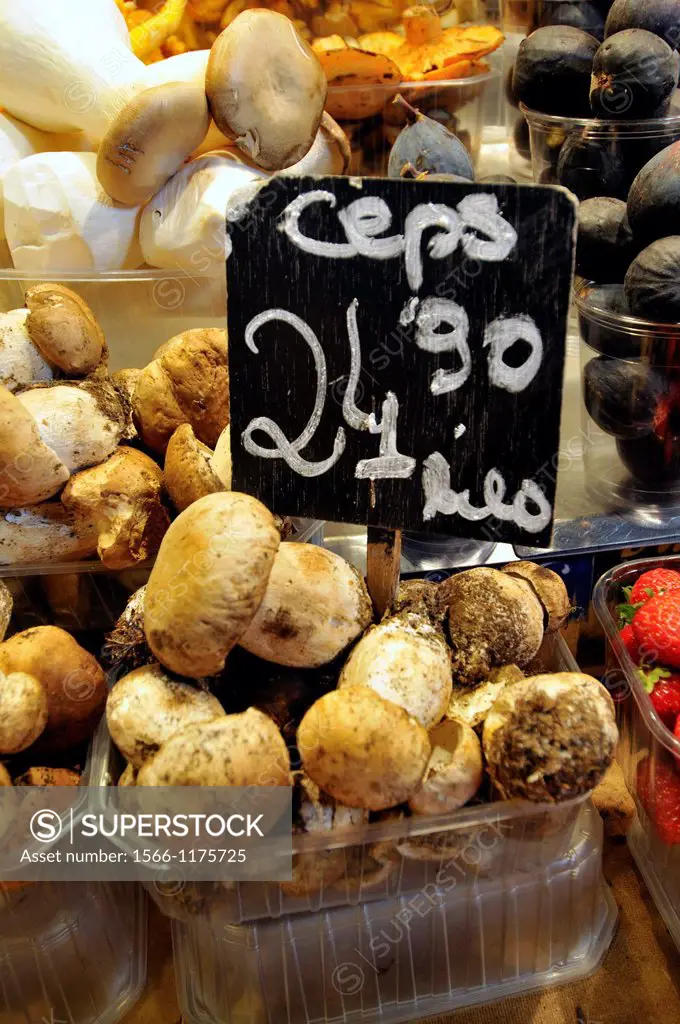 Mushrooms. Penny buns, Boletus edulis. Sant Josep or la Boqueria market Barcelona Catalonia Spain.