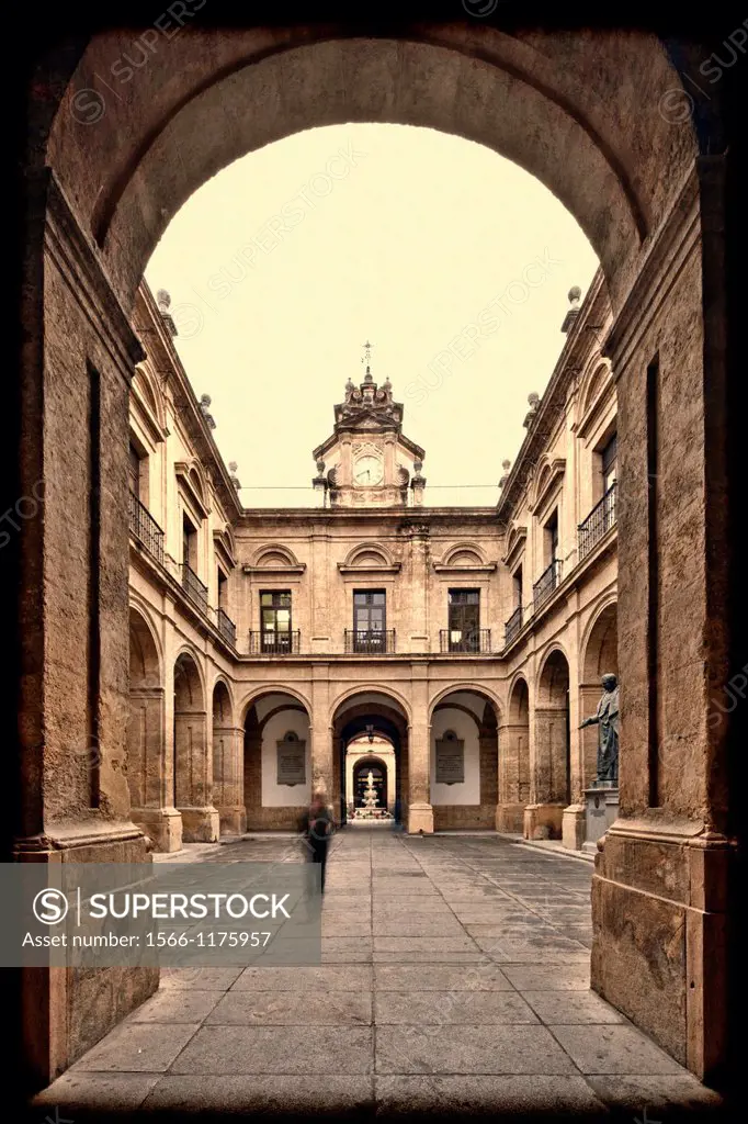 Framed view of a courtyard, University of Seville former Royal Tobacco Factory, Seville, Spain