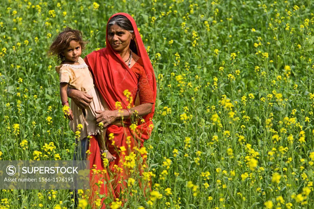 Woman and child in field of mustard near Kelashdi Rajasthan India