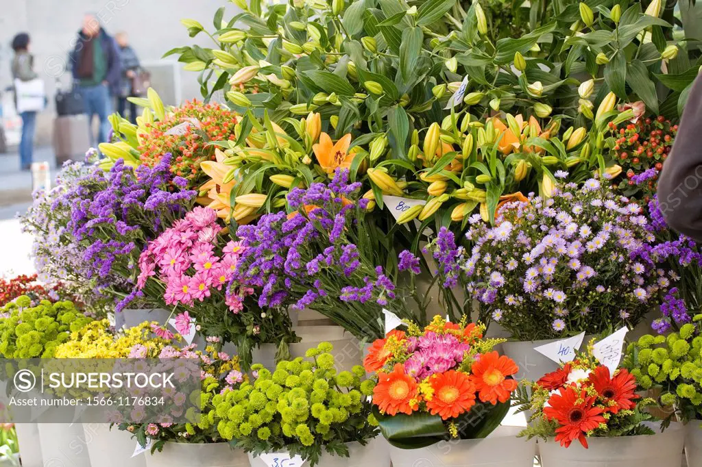 Colorful flowers in farmer´s market  Cut flowers stand in florist´s tubs in a local putlic market