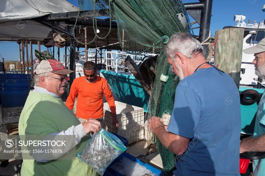 Mobile, Alabama - Shrimp trawler Capt  Sid Schwartz sells some of the day´s catch after the after the boat returns to the dock  The trawler is part of...