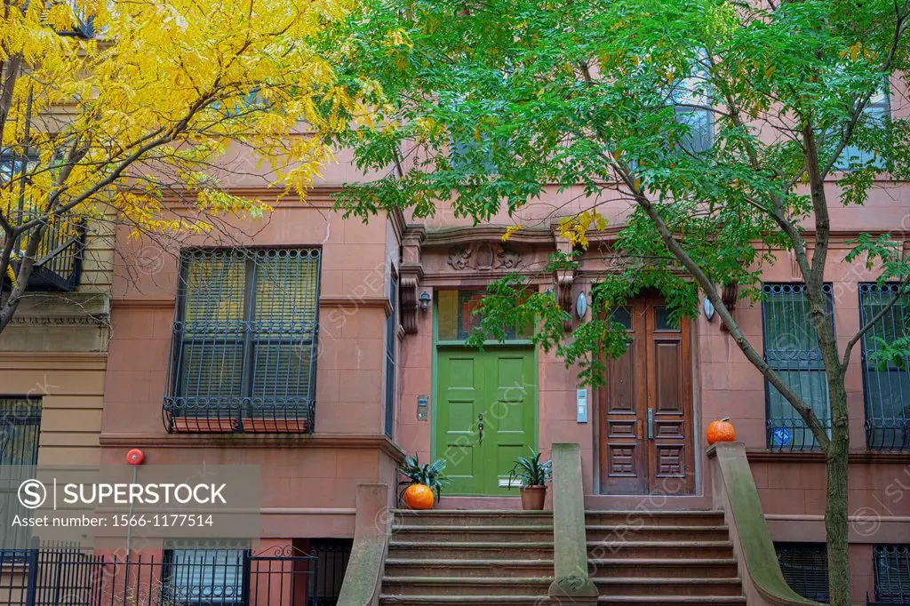 Harlem Row Houses in Autumn, New York City, New York, USA