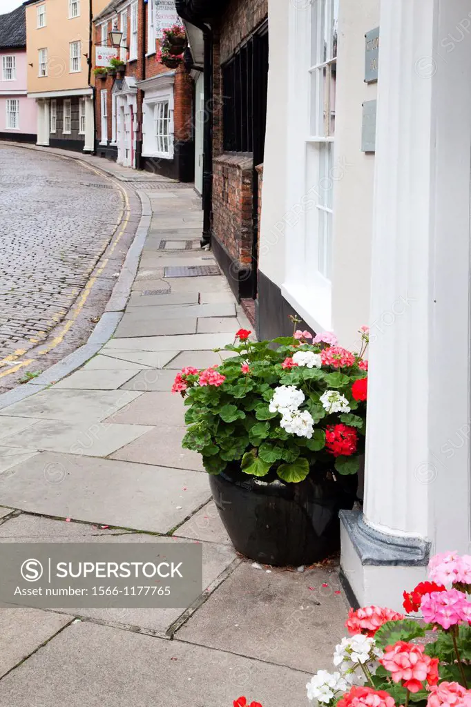 Flowers at a Doorway on Princes Street Norwich Norfolk England