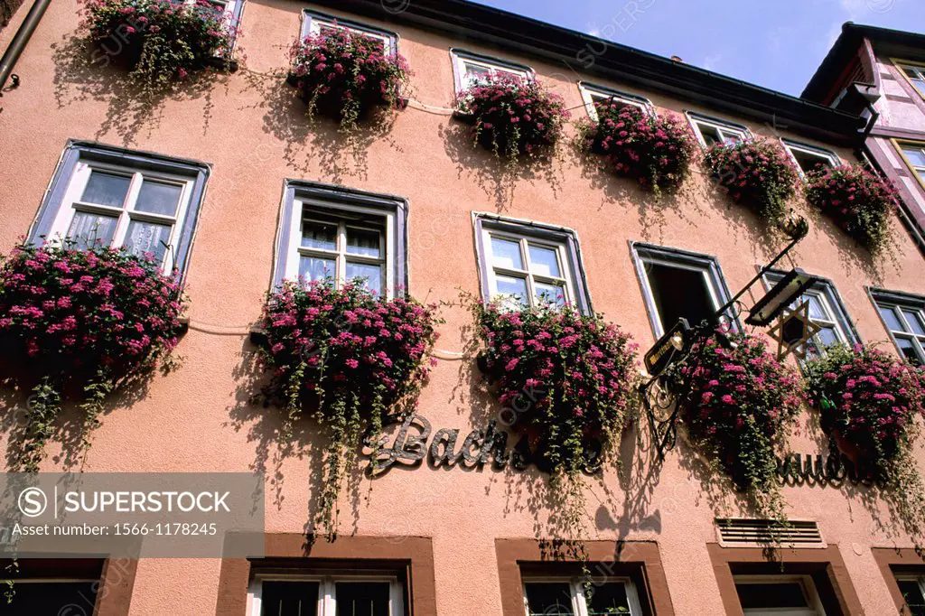 Germany Wertheim Old Town by Rhine River buildings
