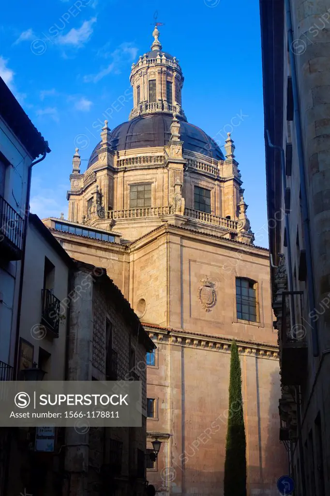 Pontifical University and La Clerecía Church of Salamanca, city declarated World Heritage by UNESCO  Castilla y León  Spain