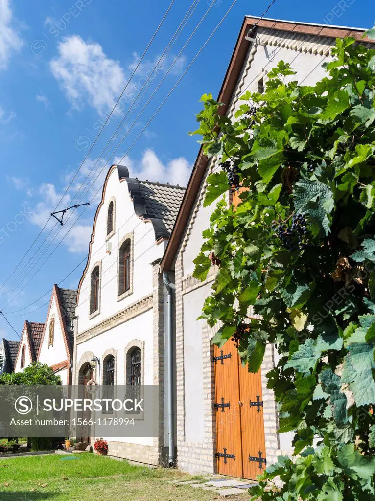 The village Hajos in Hungary  It consists only of cellers dug into the hills for pressing wine in automn  During the rest of the year the village is d...
