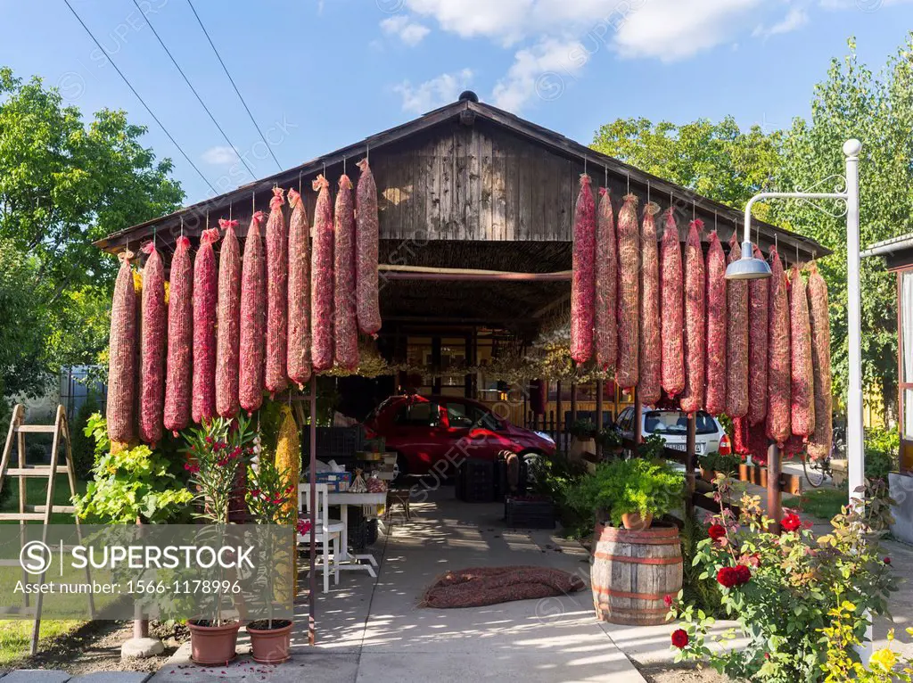 Red hungarian hot chili locally known as parika in the town of Kalocsa, the hungarian capital of Paprika  It is dried traditionally by hanging the pep...