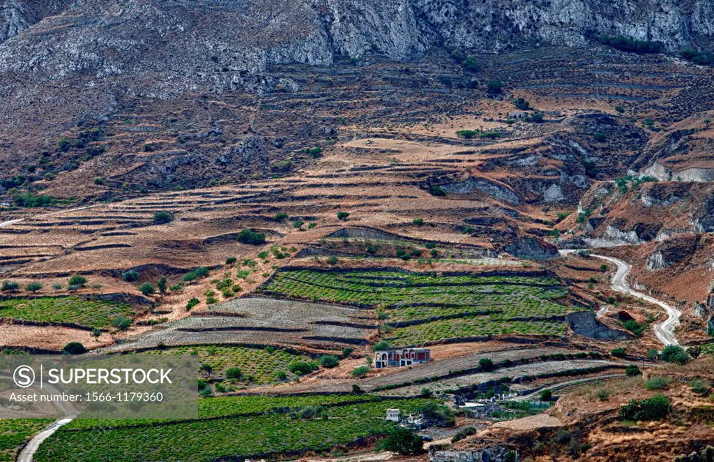 Layered farm fields and vineyards in Pirgos Santorini Greece in the Greek Islands