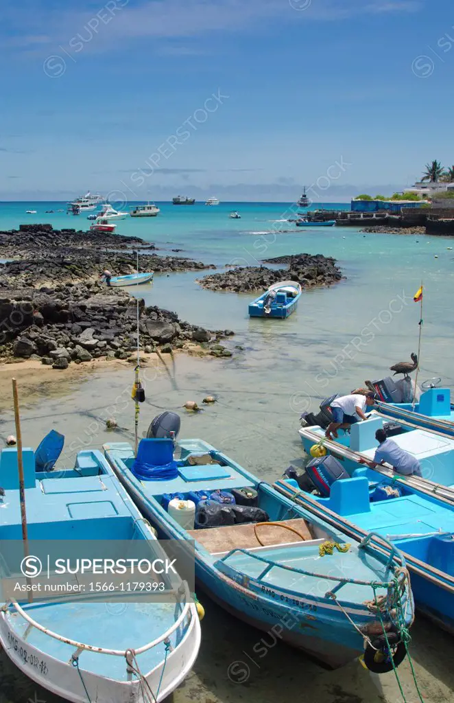 Harbor with blue water and boats and sun Santa Cruz Galapagos Islands Ecuador South America Galapagos