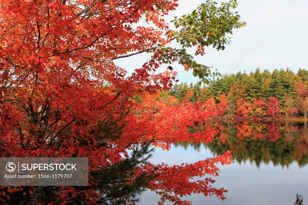 an autumn lake scene in the Adirondack Mountains in the USA
