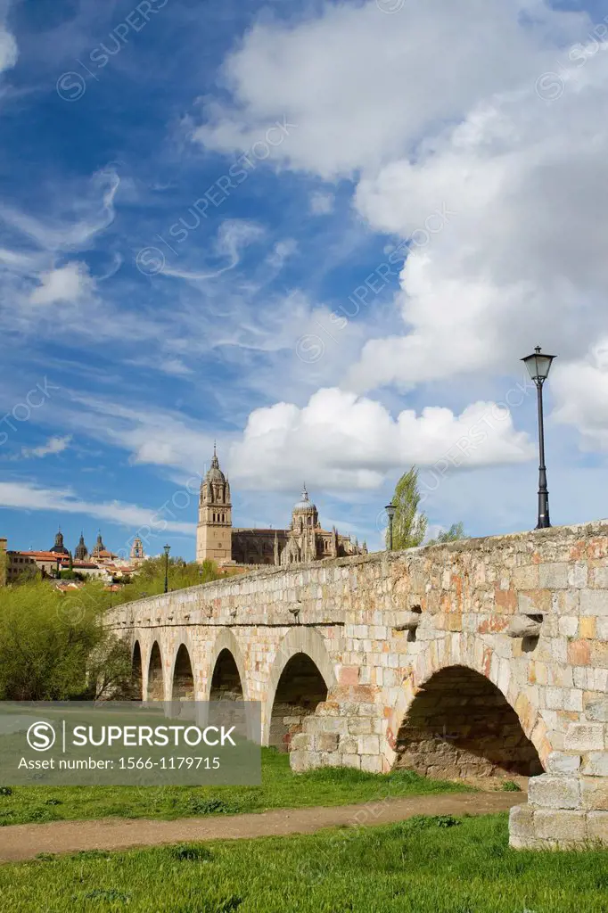 Overview of the cathedrals of Salamanca from Roman Bridge over the Tormes river  Salamanca  Castilla y Leon  Spain
