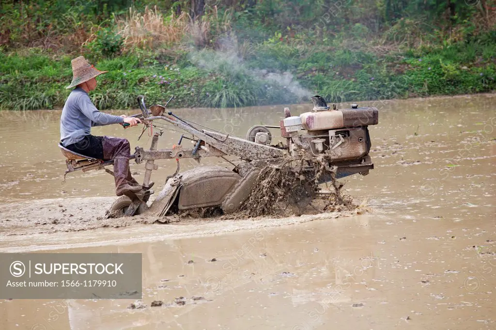 Chinese farmer working with a motorized plow in a rice field in southeast China