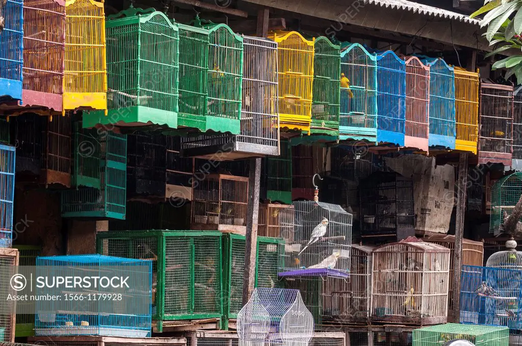 Wooden birdcages at the bird and animal market in Denpasar, Southern Bali, Indonesia