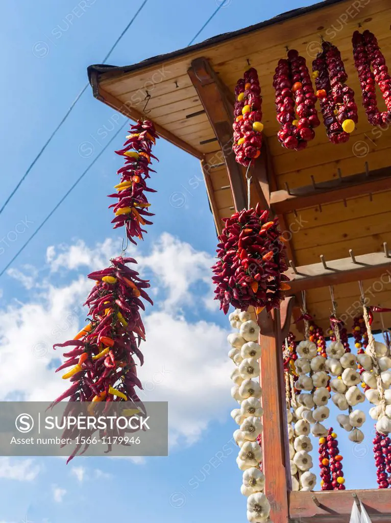 Red hungarian hot chili locally known as parika in the town of Kalocsa, the hungarian capital of Paprika  It is dried traditionally by hanging the pep...