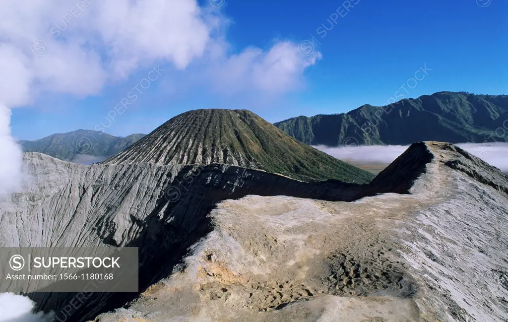 View of the caldera and active volcanoes from the top of Bromo volcano at sunrise, eastern Java, Indonesia
