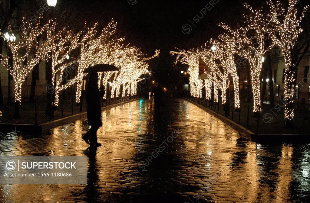 New York City, Christmas light decorations on trees at Columbia Universitys Campus