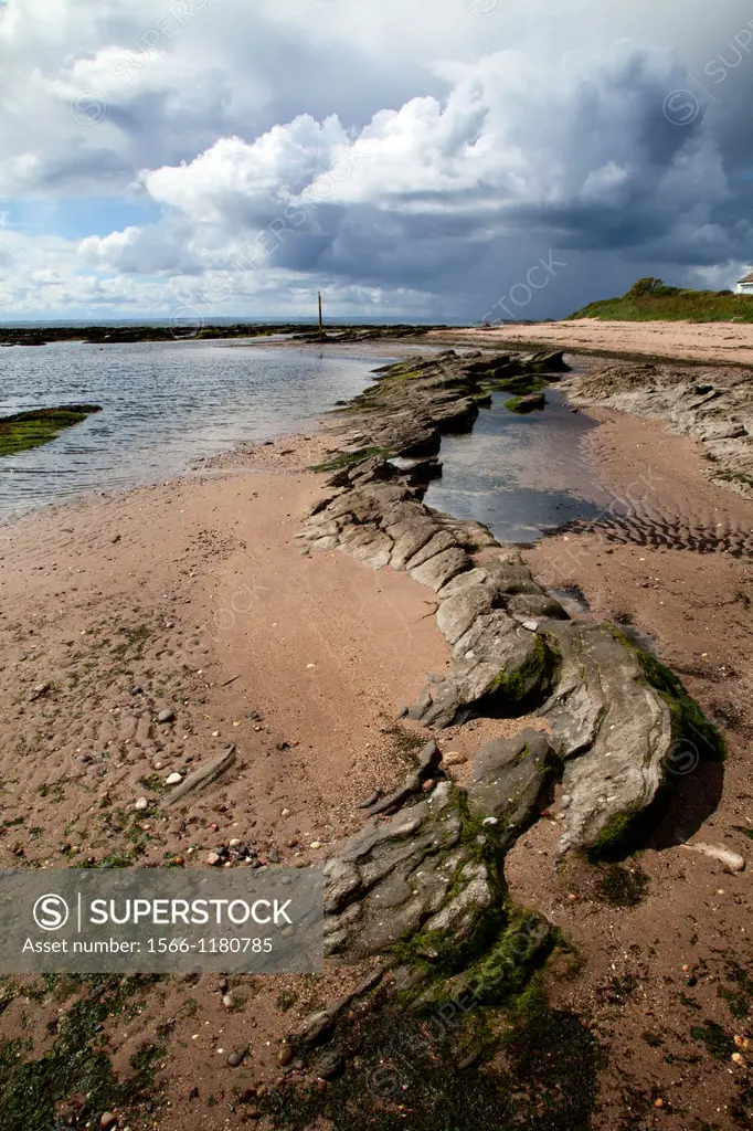 Rocks on the Beach and Stormclouds at Carnoustie Angus Scotland