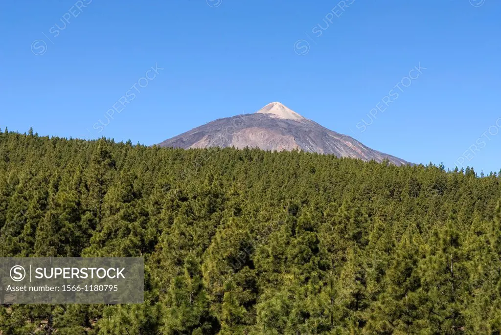 Mount Teide, National Park, Tenerife, Canary Islands, Atlantic Ocean