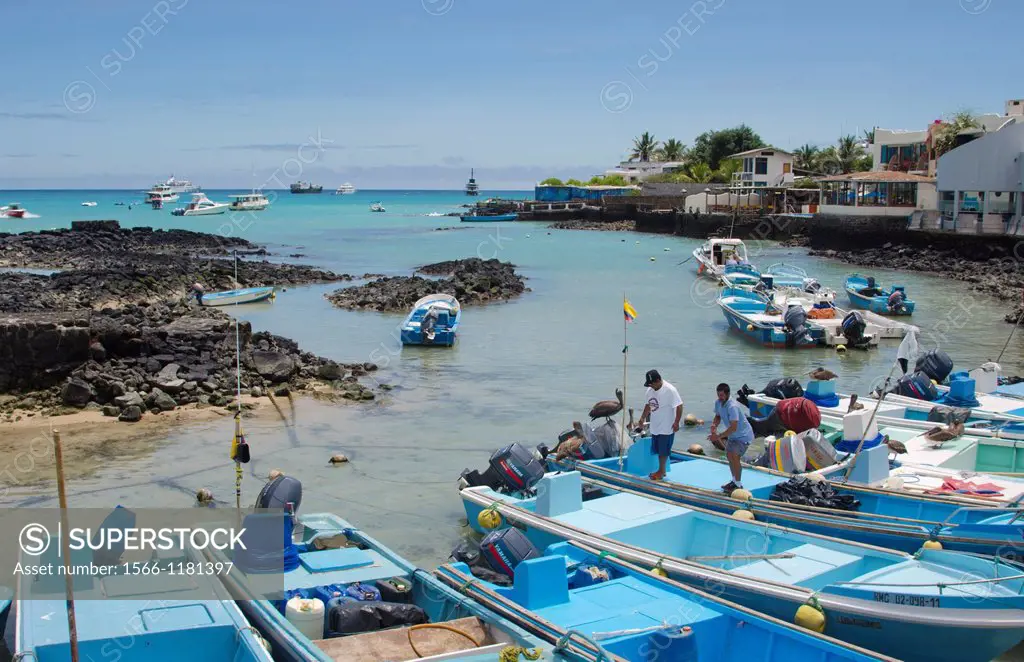 Harbor with blue water and boats and sun Santa Cruz Galapagos Islands Ecuador South America Galapagos