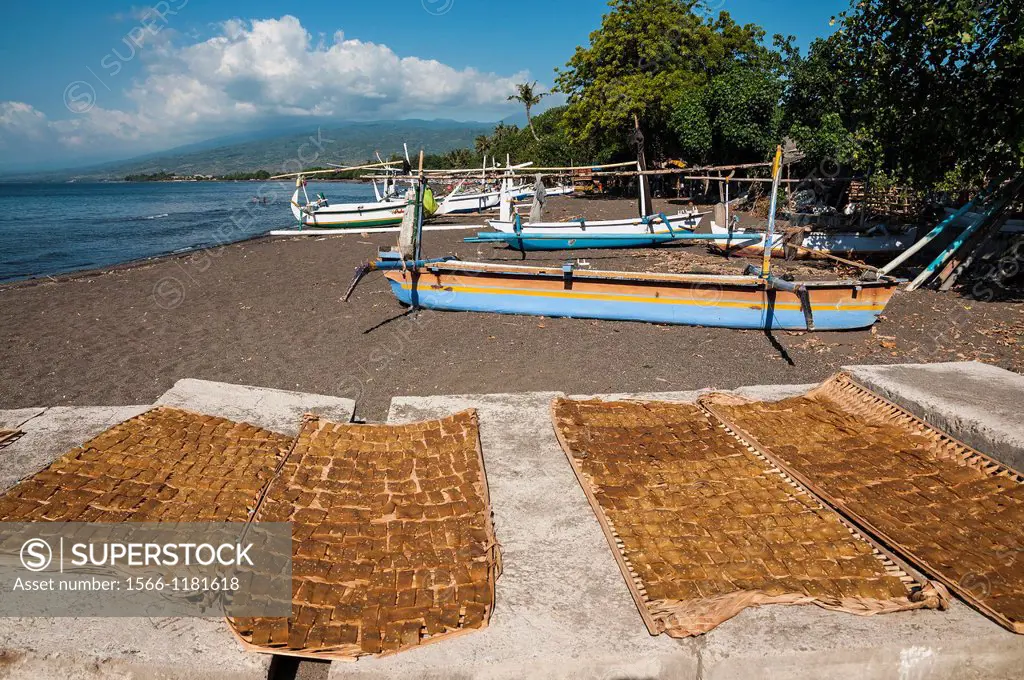 Kerupuk, fish crakers, sun drying on Lovina beach, Kalibukbuk, Lovina, Northern Bali, Indonesia