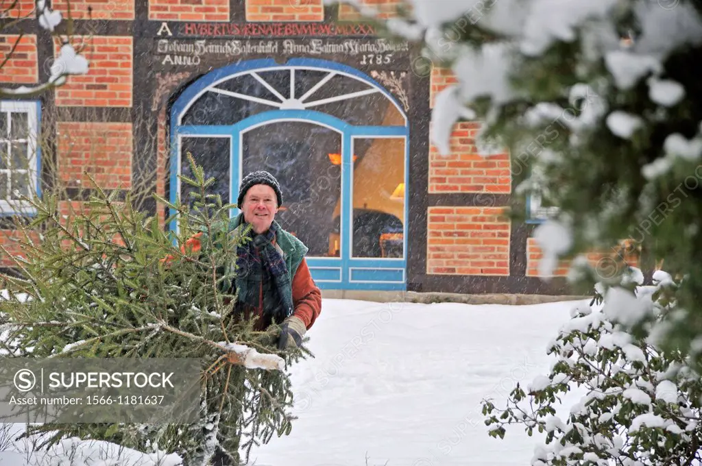 Man carries Christmas tree home, walking through deep snow