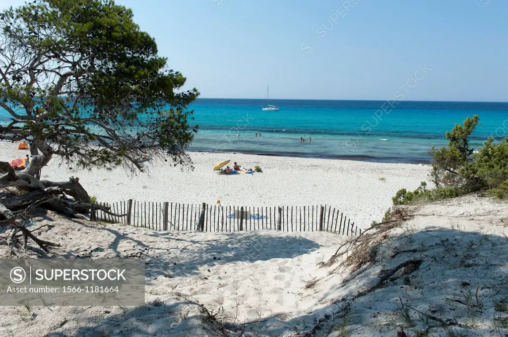 Europe, France, Corse, Haute Corse (2B). Agriates desert. Saleccia. The white sand beach.