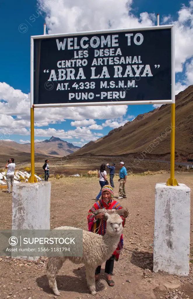 High peak at 13,000 feet of La Raya Peru with young boy with llama portrait
