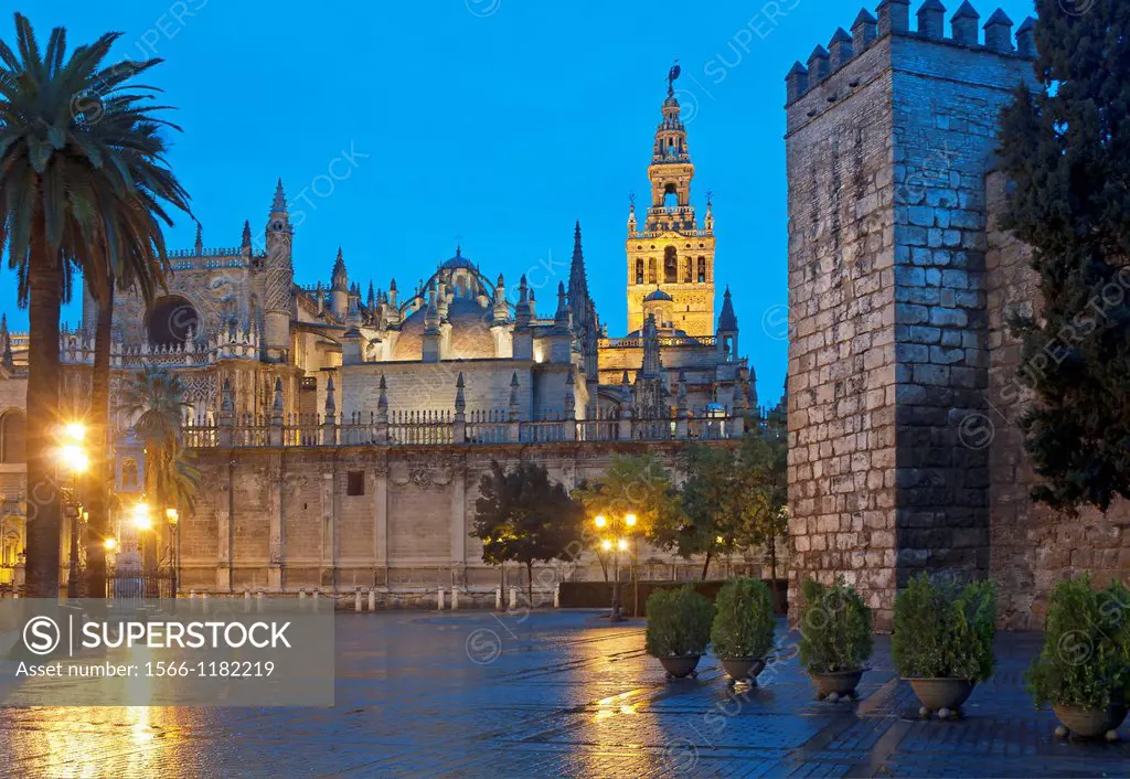 Cathedral Giralda and Royal Alcazar, Seville, Region of Andalusia, Spain, Europe