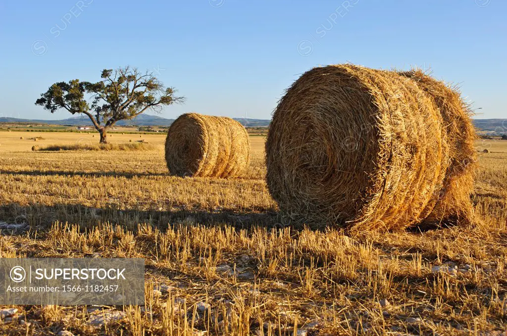Straw Bales and cereal field, Almansa Albacete.