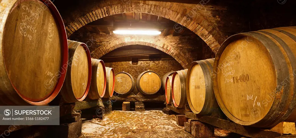 pacina wine cellar in castelnuovo berardenga