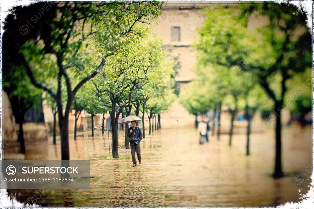 Man with an umbrella, Patio de los Naranjos, Seville, Spain  Tilted lens used for a shallower depth of field
