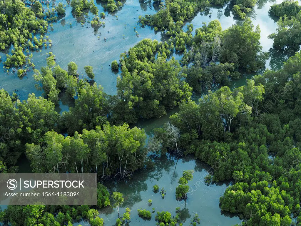 Aerial view of mangroves and vegetation in the rivers of Johor