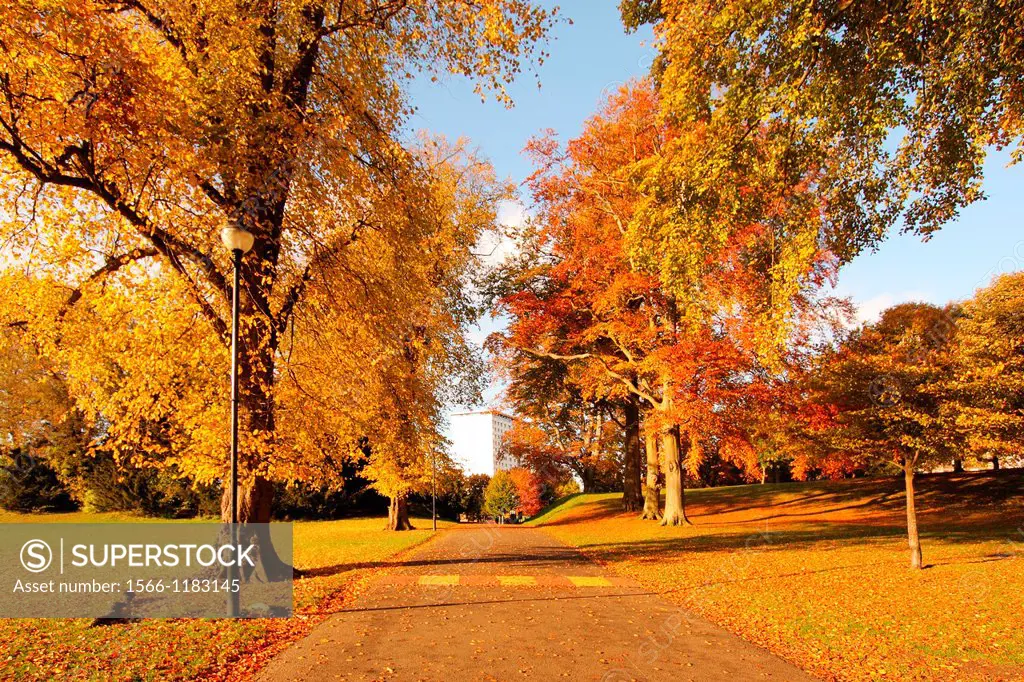 Wonderful autumnal scene in the park of Falkirk, Scotland